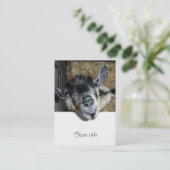 野良いヤギが外を見ている 名刺 (スタンド正面)