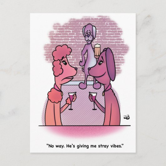 野良な雰囲気 ポストカード (正面)