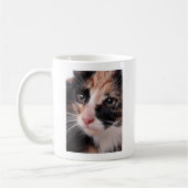 野良の子猫 コーヒーマグカップ (左)