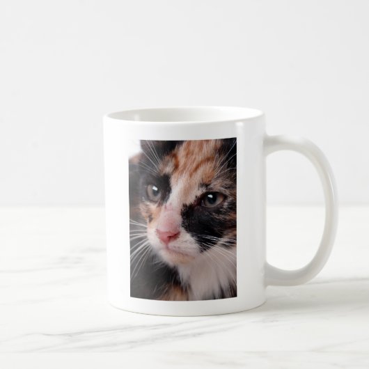 野良の子猫 コーヒーマグカップ (右)