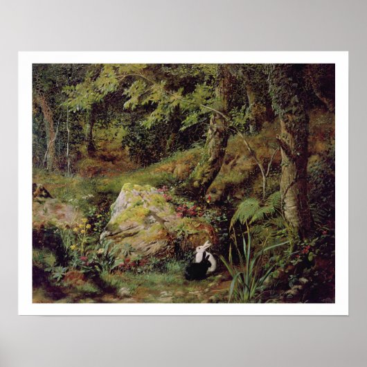 野良兎 ポスター (正面)