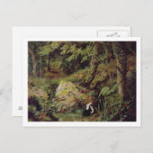 野良兎 ポストカード (正面/裏面)