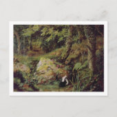 野良兎 ポストカード (正面)