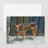 野良犬カード (正面/裏面)