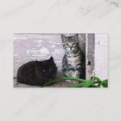 野良猫の保護活動 名刺 (裏面)