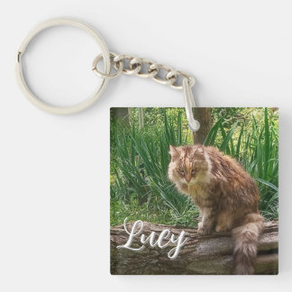 野良猫の写真 / ネコ好き キーホルダー
