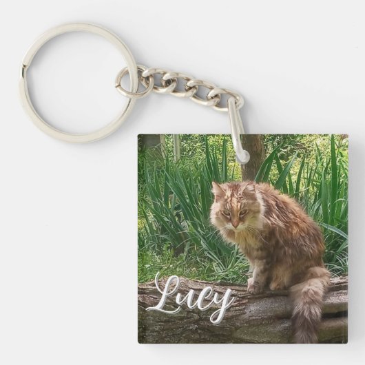 野良猫の写真 / ネコ好き キーホルダー (正面)