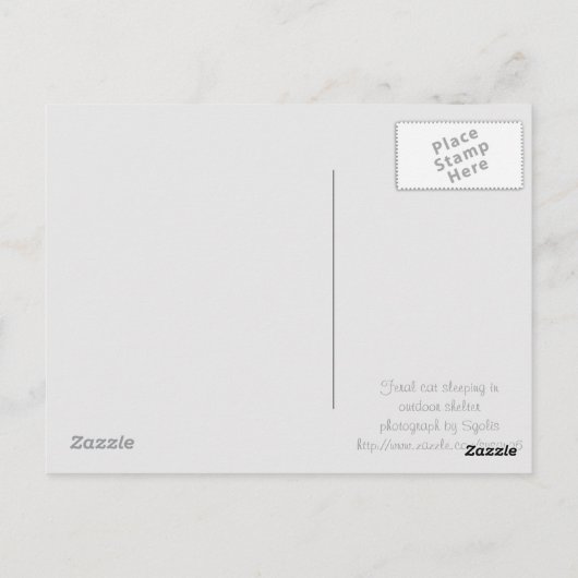 野良猫の冬のシェルターで寝る ポストカード (裏面)