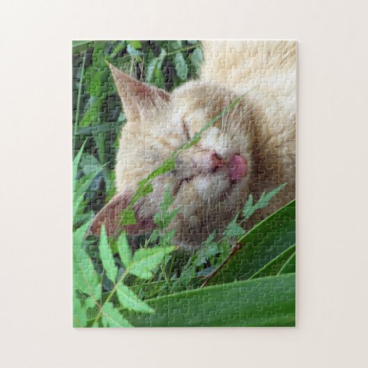 野良猫の甘さ – パズル (縦)