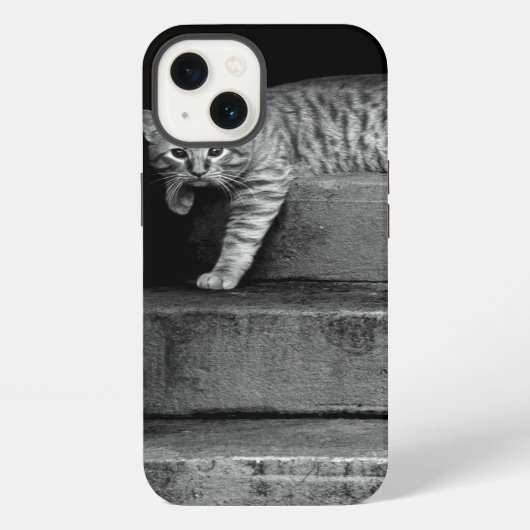『野良猫の階段』 iPhoneケース (裏面)