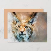 野良猫はがき ポストカード (正面/裏面)