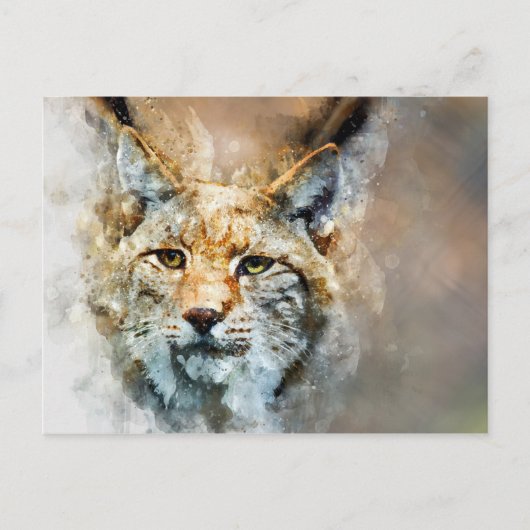 野良猫はがき ポストカード (正面)