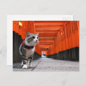 野良猫ニャン吉【伏見稲荷】 ポストカード (正面/裏面)