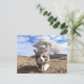 野良猫ニャン吉【活動期】 ポストカード (スタンド正面)