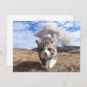 野良猫ニャン吉【活動期】 ポストカード (正面/裏面)