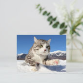 野良猫ニャン吉【肉球全開！】 ポストカード (スタンド正面)