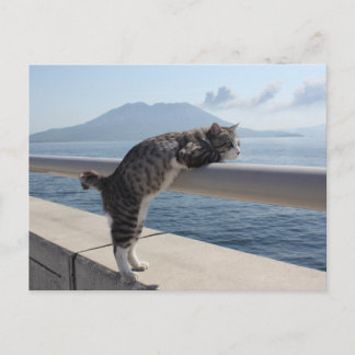 野良猫ニャン吉【錦江湾と桜島】 ポストカード