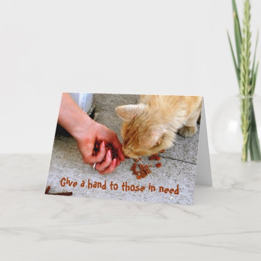 野良猫ハワイシェルターペット シーズンカード (正面)