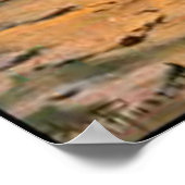 野良猫 ポスター (角)