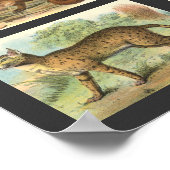 野良猫 ポスター (角)