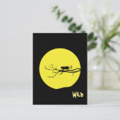 野良猫 ポストカード (スタンド正面)