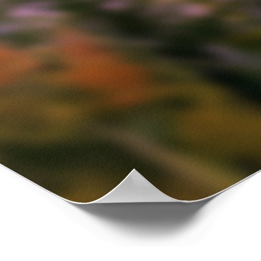 野花と星 ポスター (角)