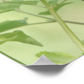 野花の蝶、ローマの詩12:12 ポスター (角)