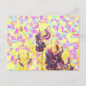 野花咲き ポストカード (正面)