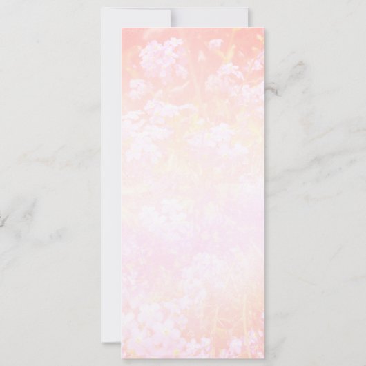 野花 セーブザデート (裏面)