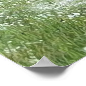 野花 ポスター (角)