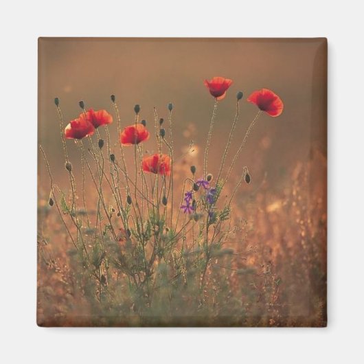 野花 マグネット (正面)