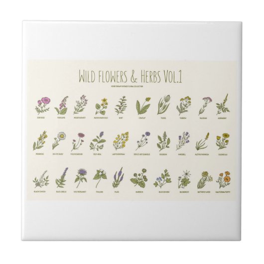 野草とハーブ タイル (正面)