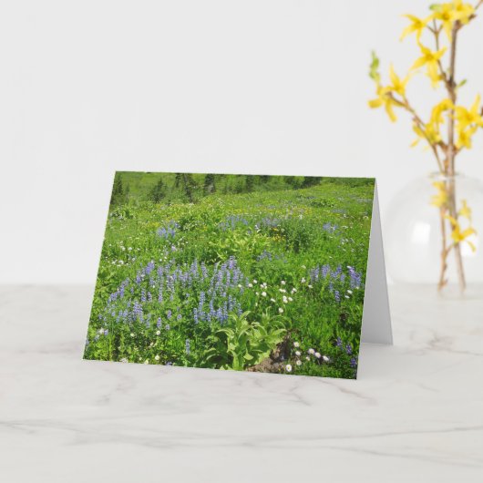 野草のフィールドで山レイニア カード (黄色い花)