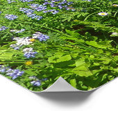 野草のフィールドで山レイニア ポスター (角)