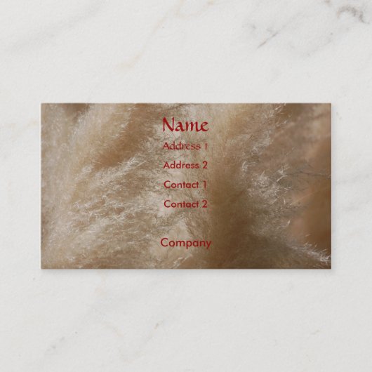 野草のプロフィールカード 名刺 (正面)