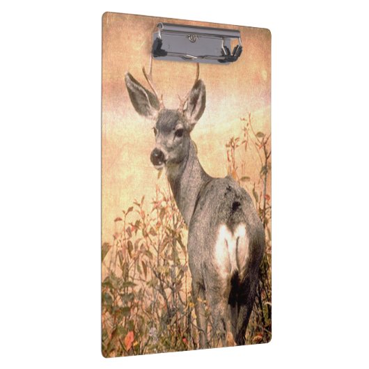 野草の中の若い鹿でにぎやかなテクスチャーのアート クリップボード (右)