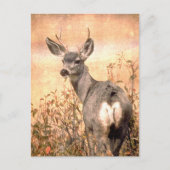野草の中の若い鹿でにぎやかなテクスチャーのアート ポストカード (正面)