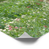 野草の中の雄牛の海藻の香り) ポスター (角)