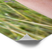 野草の汚れた裸の足 ポスター (角)