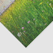 野草地に丸まったハルシオンの納屋 薄葉紙 (詳細)