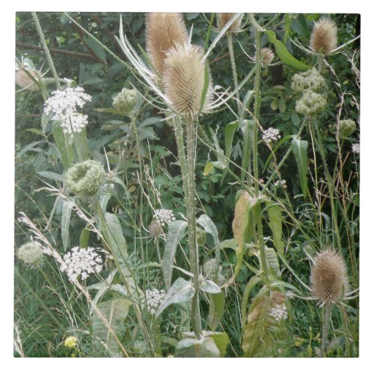野草瓦 タイル (正面)