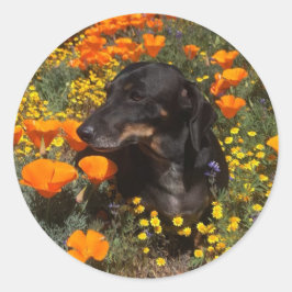 野草花のダシュントの子犬 ラウンドシール