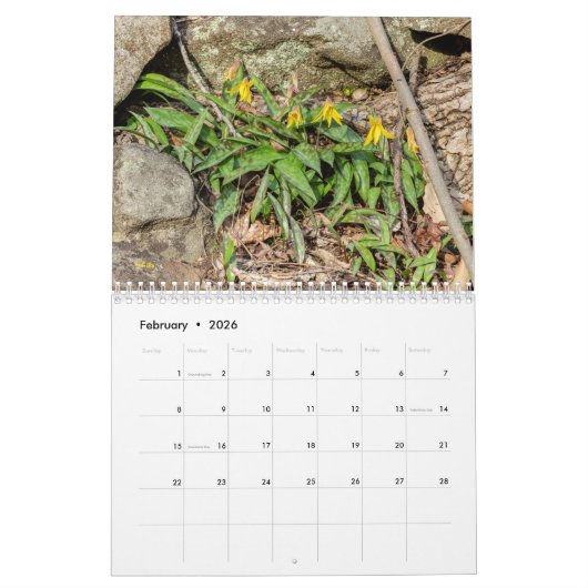 野草 カレンダー (2月 2026)