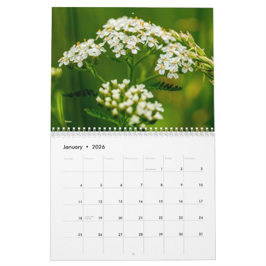 野草 カレンダー (1月 2026)