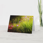 野草 カード (正面)