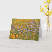野草 カード (黄色い花)