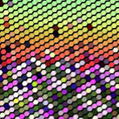 野草 キャンバスプリント