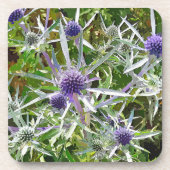 野草 コースター (正面)