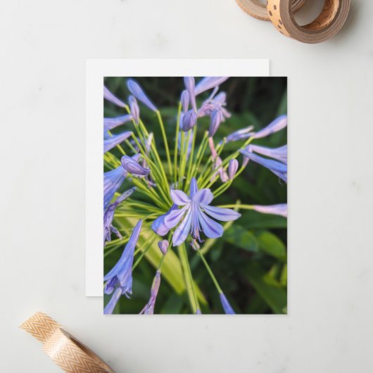 野草 ノートカード (正面/裏面インサイチュ)