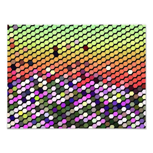 野草 フォトプリント            (正面)